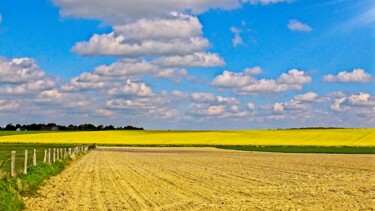 Photography titled "Champs de colza (1)" by Michel Akli, Original Artwork, Non Manipulated Photography