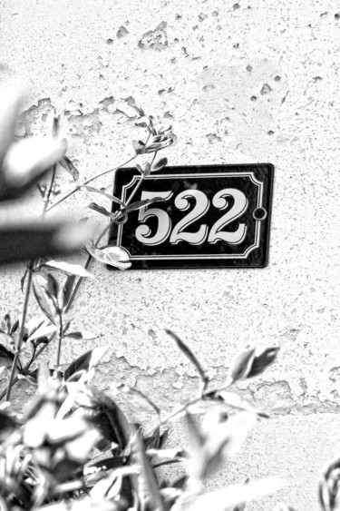 Photography titled "522, Un Jardin en N…" by Michel Akli, Original Artwork, Non Manipulated Photography
