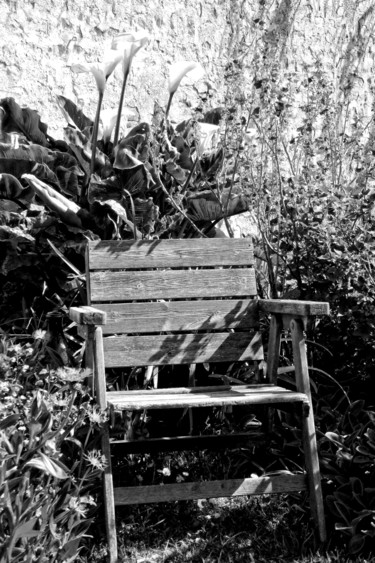 Fotografía titulada "522, fauteuil, (256…" por Michel Akli, Obra de arte original, Fotografía no manipulada