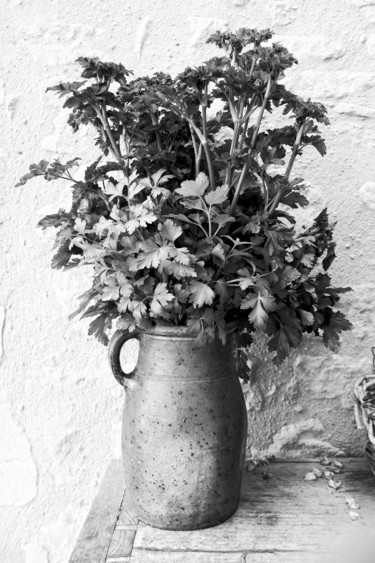 Φωτογραφία με τίτλο "Persil, 522, un jar…" από Michel Akli, Αυθεντικά έργα τέχνης, Μη χειραγωγημένη φωτογραφία