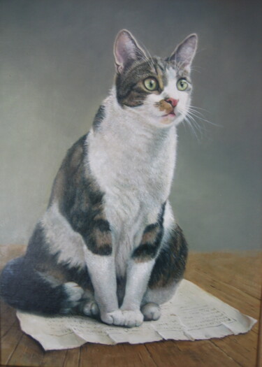 Peinture intitulée "chat.jpg" par Alain Bazard, Œuvre d'art originale, Huile