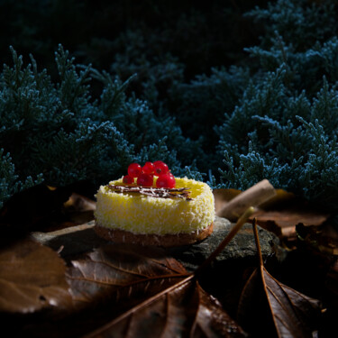 Fotografía titulada "Princesse des bois" por Alain Boulivet, Obra de arte original, Fotografía digital