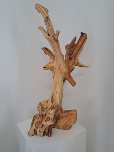 Sculpture titled "Imagine" by Dal, Original Artwork, Wood