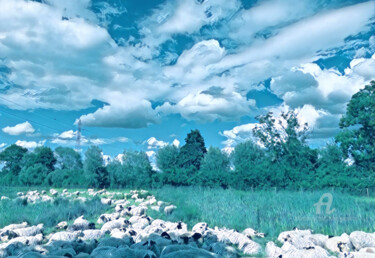 Arts numériques intitulée "Laine au sol, laine…" par Alain Erpelding, Œuvre d'art originale, Photo montage