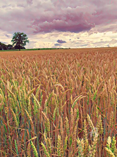 Photographie intitulée "Champ de blé" par Alain Erpelding, Œuvre d'art originale, Peinture numérique