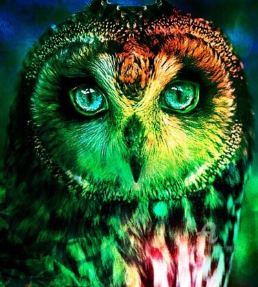 Digital Arts titled "Owl" by Alain Erpelding, Original Artwork, Photo Montage