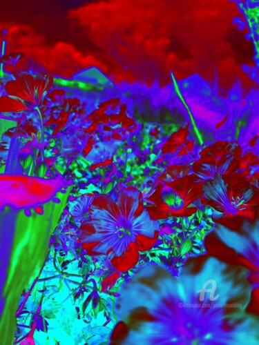Arts numériques intitulée "Fleurs un jour nuagé" par Alain Erpelding, Œuvre d'art originale, Photographie manipulée