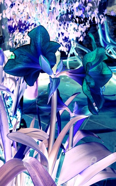Digitale Kunst mit dem Titel "Lilium" von Alain Erpelding, Original-Kunstwerk, Manipulierte Fotografie