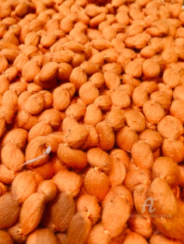 Фотография под названием "Haricots oranges" - Alain Erpelding, Подлинное произведение искусства, Цифровая фотография