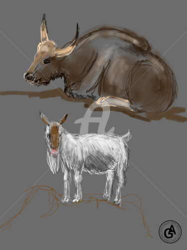 Artes digitais intitulada "Buffalo and goat" por Alain Galet, Obras de arte originais, Pintura digital