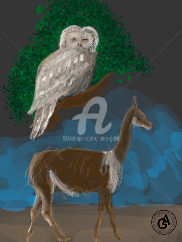 Digital Arts titled "Owl and llama" by Alain Galet, Original Artwork, Digital Painting