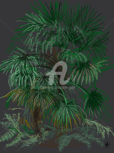 Digital Arts titled "Palm tree" by Alain Galet, Original Artwork, Digital Painting