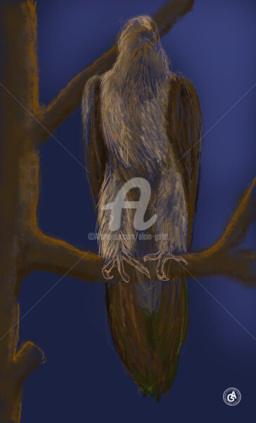 Digital Arts με τίτλο "Eagle / Aigle" από Alain Galet, Αυθεντικά έργα τέχνης, Ψηφιακή ζωγραφική