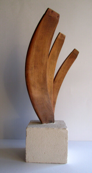Sculptuur getiteld "BOOMERANG" door Alain Lamy, Origineel Kunstwerk, Hout