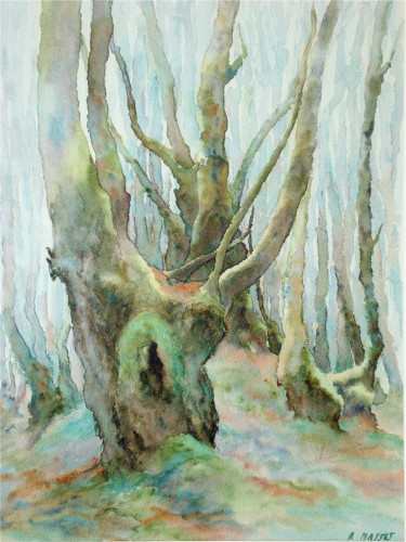 Painting titled "Dans les bois du Li…" by Alain Masset, Original Artwork, Watercolor