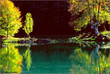 Photographie intitulée "lumieres sur le lac" par Alain Navarro, Œuvre d'art originale
