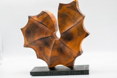 Skulptur mit dem Titel "COQUILLAGE" von Alain Polydor, Original-Kunstwerk, Holz