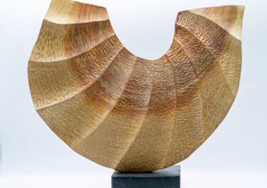 Skulptur mit dem Titel "Grand coquillage" von Alain Polydor, Original-Kunstwerk, Holz