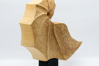 Skulptur mit dem Titel "coquillage Bernard…" von Alain Polydor, Original-Kunstwerk, Holz