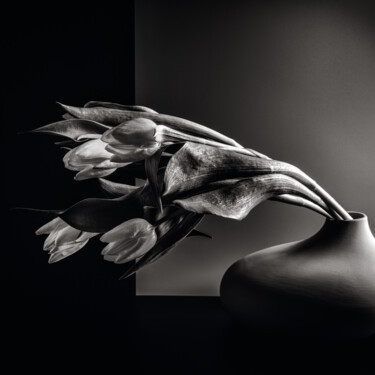 Photographie intitulée "Tulipes" par Alain Rappeneau, Œuvre d'art originale, Photographie numérique