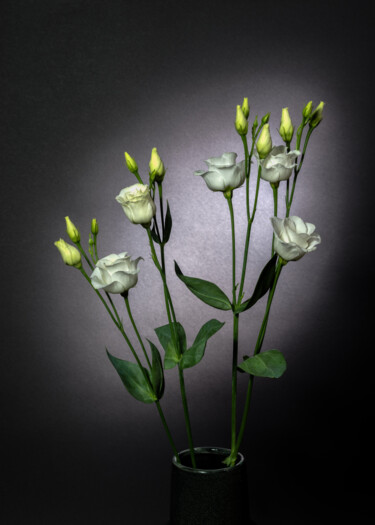 Photographie intitulée "Nature Morte #16" par Alain Rappeneau, Œuvre d'art originale, Photographie numérique