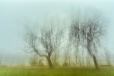 Φωτογραφία με τίτλο "Brouillard au Belvé…" από Alain Rappeneau, Αυθεντικά έργα τέχνης, Ψηφιακή φωτογραφία