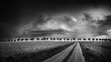 Photography titled "Les arbres d'Allerey" by Alain Rappeneau, Original Artwork, Digital Photography