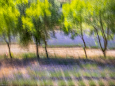 Fotografia zatytułowany „Paysage de provence” autorstwa Alain Rappeneau, Oryginalna praca, Fotografia cyfrowa