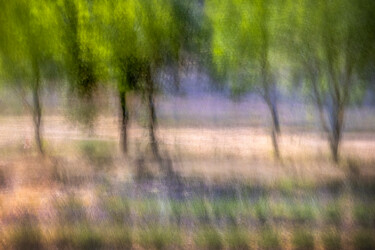 Fotografía titulada "Paysage de provence…" por Alain Rappeneau, Obra de arte original, Fotografía digital