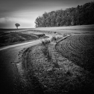 Фотография под названием "Paysage Bourguignon…" - Alain Rappeneau, Подлинное произведение искусства, Цифровая фотография