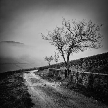 Photography titled "Brouillard en Charl…" by Alain Rappeneau, Original Artwork, Digital Photography