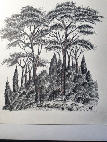 Drawing titled "nature" by Alain Ternat, Original Artwork, Ink