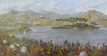 Pintura intitulada "lac au Connemara" por Alain Muller, Obras de arte originais, Óleo