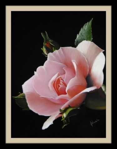 Painting titled "Rose" by Alain Vasselin, Original Artwork