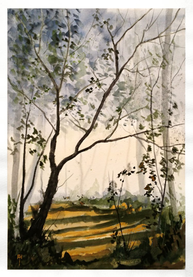 Pintura intitulada "Woodland shadows" por Alan Harris, Obras de arte originais, Aquarela