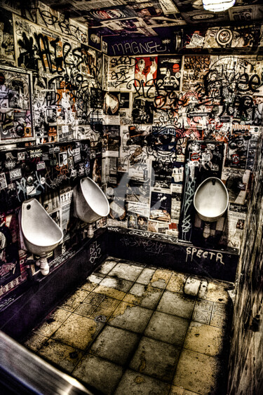 Photographie intitulée "Toilettes Ondulatoi…" par Alanig Keltz, Œuvre d'art originale