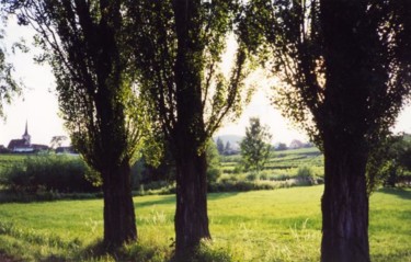 Photographie intitulée "les 3 arbres mittel…" par Joe, Œuvre d'art originale