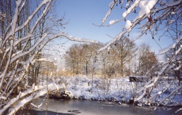 Photographie intitulée "paysage hivernal" par Joe, Œuvre d'art originale