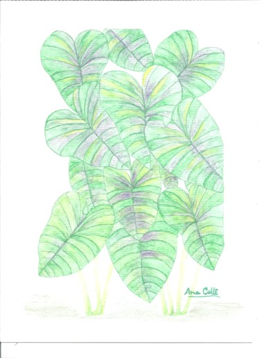 No meu Jardim Tekening getiteld "No meu Jardim" door Ana Alão Colle Marques, Origineel Kunstwerk, Anders