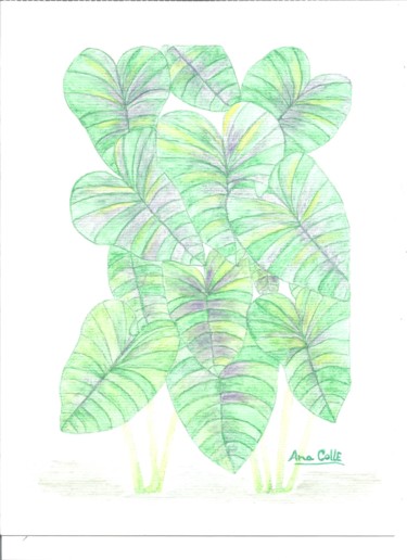 Drawing titled "No meu Jardim" by Ana Alão Colle Marques, Original Artwork, Other