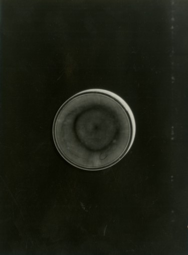 Photographie intitulée "Baryum" par Albanne Cannet, Œuvre d'art originale