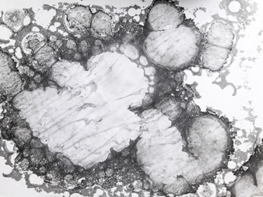 Отпечатки и Гравюры под названием "Jellyfish" - Albanne Cannet, Подлинное произведение искусства, Монотип