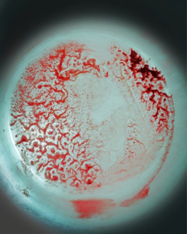 Photography titled "Astre microscopique…" by Albanne Cannet, Original Artwork