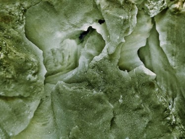 Фотография под названием "Gypse (Green)" - Albanne Cannet, Подлинное произведение искусства, Манипулированная фотография