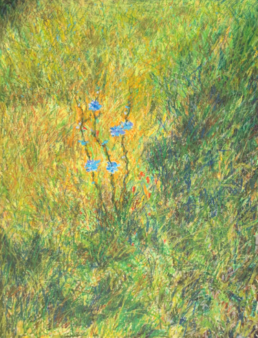 Disegno intitolato "Chicory" da Albert Safiullin, Opera d'arte originale, Pastello