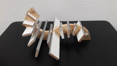 Sculpture titled "Vibratio #11" by Alberto Simões De Almeida, Original Artwork, Wood