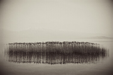 Fotografie mit dem Titel "Dream over a lake" von Albes Fusha, Original-Kunstwerk, Digitale Fotografie