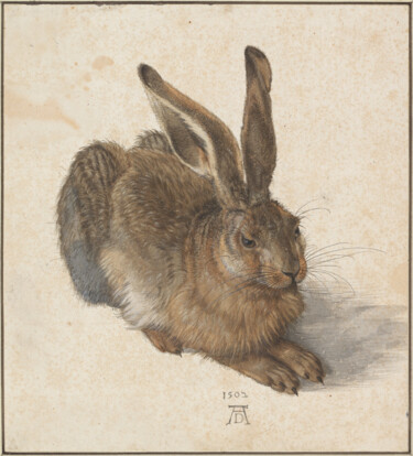 Painting titled "Le lièvre" by Albrecht Dürer, Original Artwork, Watercolor