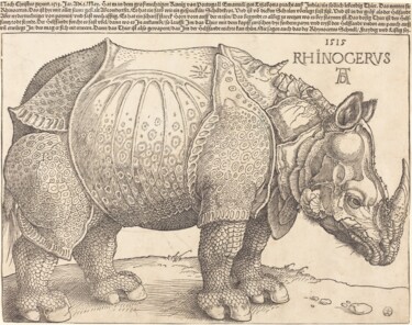 Printmaking titled "Rhinoceros" by Albrecht Dürer, Original Artwork, Xylography