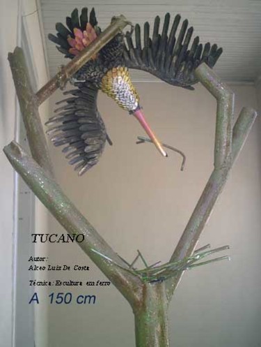 Escultura intitulada "Tucano" por Alceo Luiz De Costa Dcosta, Obras de arte originais